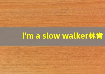 i'm a slow walker林肯